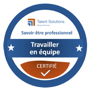 badge EQUIPE - Conseil en gestion - Hôtellerie Savoir-être professionnel Travailler en équipe
