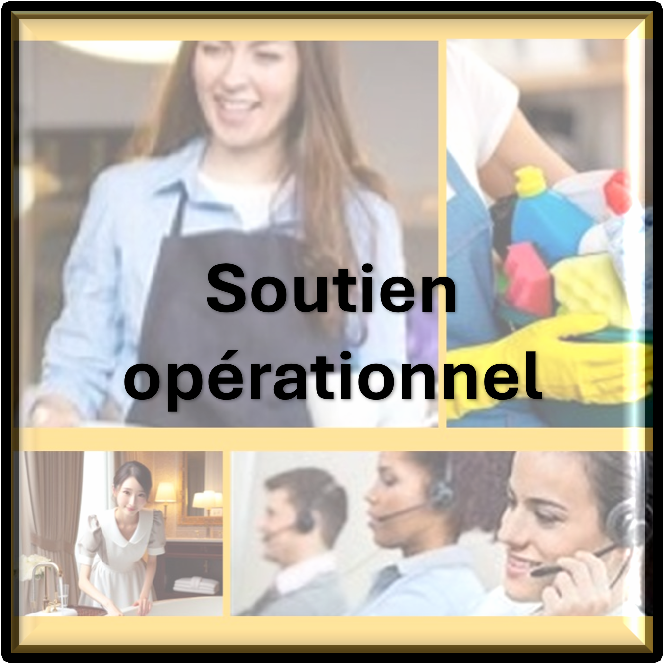 Soutien opérationnel en Hôtellerie Restauration : Extra hôtel restaurant, ménage, accueil, service en salle, bar, traiteur, archivage, inventaire - Saint André de Cubzac, Blaye, Libourne, Bordeaux, Nord Gironde
